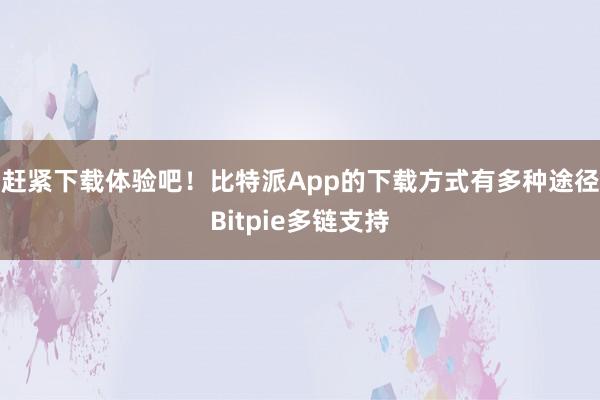 赶紧下载体验吧！比特派App的下载方式有多种途径Bitpie多链支持