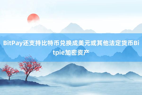 BitPay还支持比特币兑换成美元或其他法定货币Bitpie加密资产