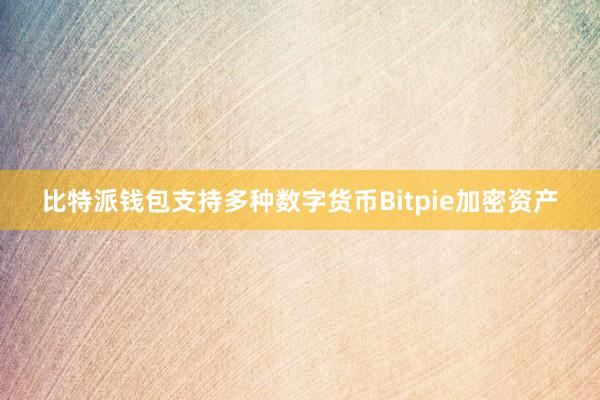 比特派钱包支持多种数字货币Bitpie加密资产