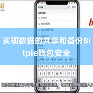 实现数据的共享和备份Bitpie钱包安全