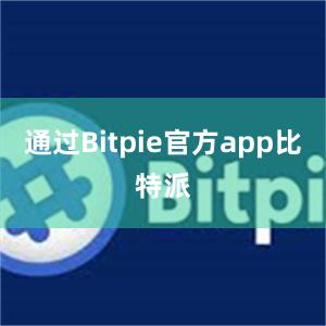 通过Bitpie官方app比特派