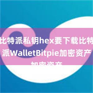 比特派私钥hex要下载比特派WalletBitpie加密资产